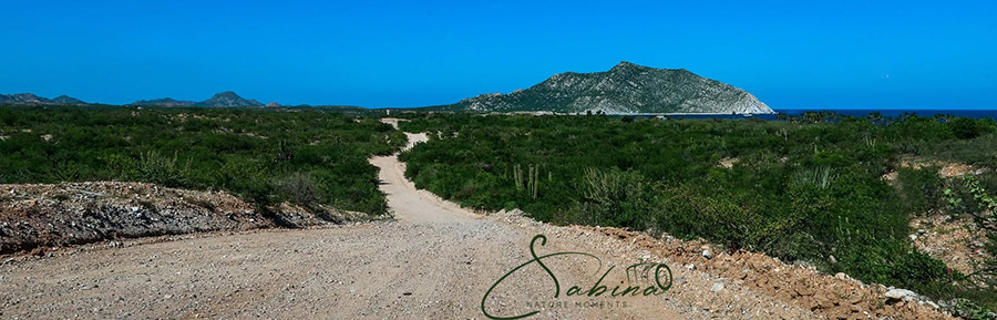 Landschaft & Natur