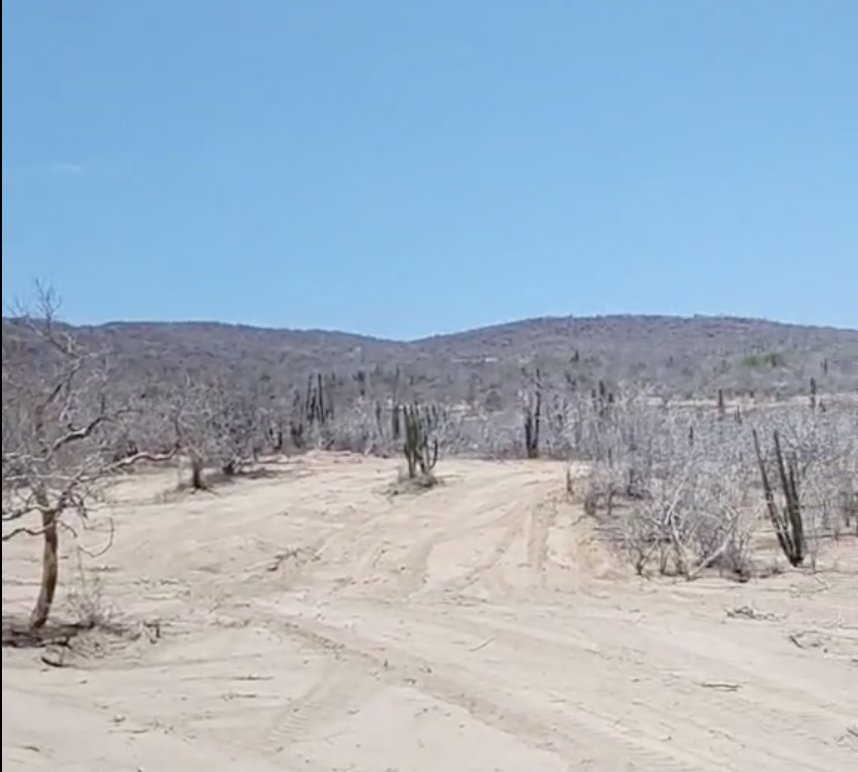 Der Weg über unser Grundstück im Busch von Baja California Sur