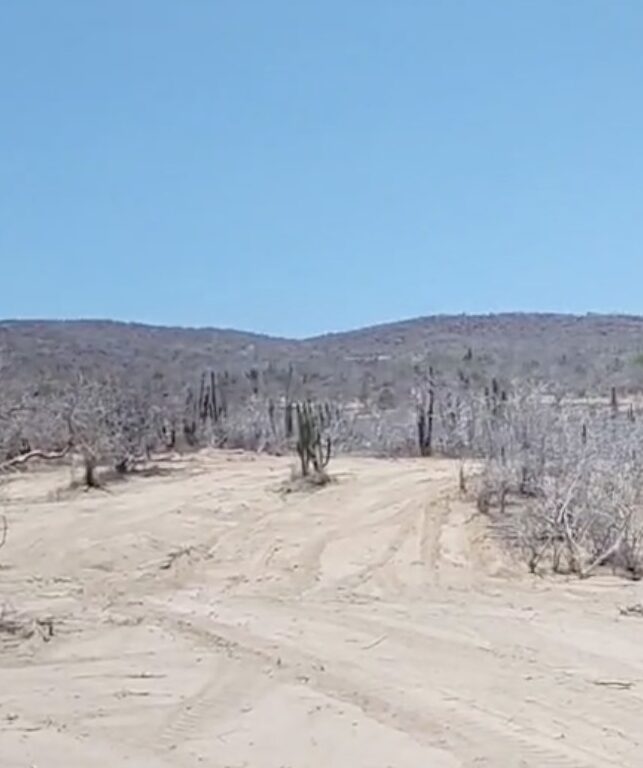 Der Weg über unser Grundstück im Busch von Baja California Sur